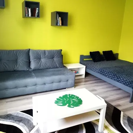 Czarny Plomien Kawalerka Apartment *